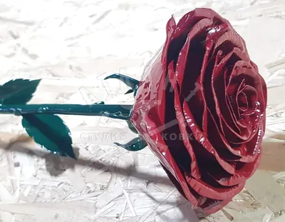 Фото реальной кованой розы для дизайна - выберите подходящий размер
