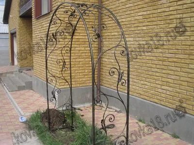 Фото, фотка, изображение: кованая арка для роз в jpg