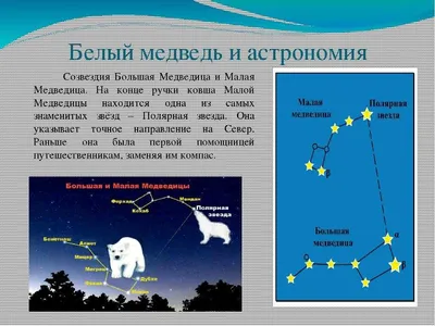 Зимний восторг: изображения ковша в различных форматах