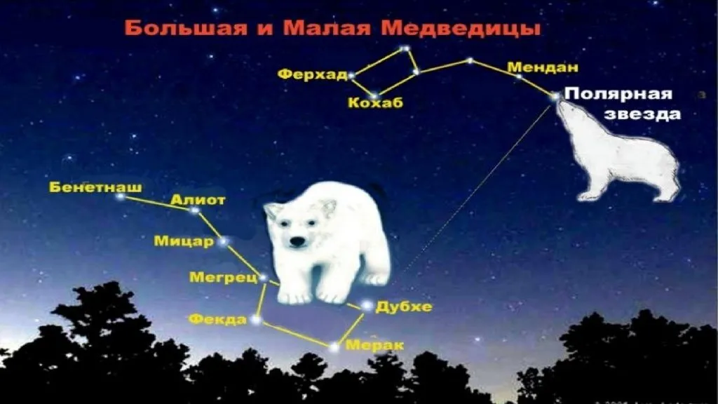 Ковш большой медведицы весной. Полярная звезда в ковше малой медведицы. Малая Медведица Созвездие звезды. Ковш большой медведь зимой. Большая Медведица зимой фото.