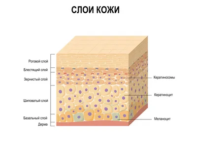 Кожа на ногах как рыбья чешуя: 15.jpg (формат jpg)