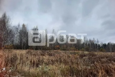 Фотка Козловых гор Костромы: природные красоты в лучшем качестве