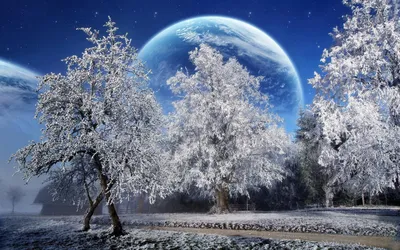 Зимняя красавица: Очарование снежных пейзажей в формате JPG
