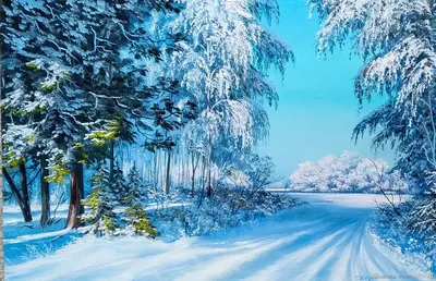 Красавица зима фотографии