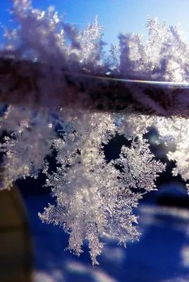 Снежная красавица: Изображения зимы в формате JPG