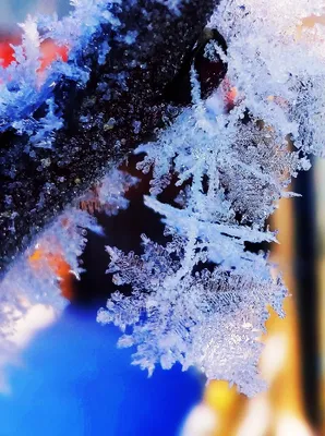 Картинка зимнего волшебства: Скачайте фото в формате WebP