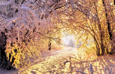 Фотографии красивой зимы: Загрузка в формате WebP