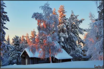 Зимний фотоальбом: Изображения в форматах PNG и WebP