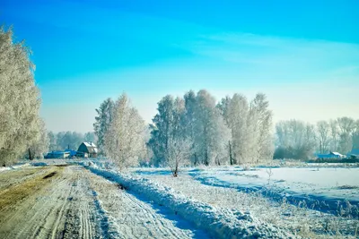Красавица зима в изображениях: Скачайте фото в формате WebP