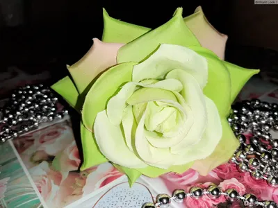 Фото розы с особыми форматами для скачивания