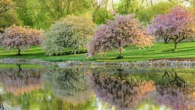 Фотографии весенней красоты