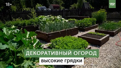 Прекрасные грядки: фото в JPG формате