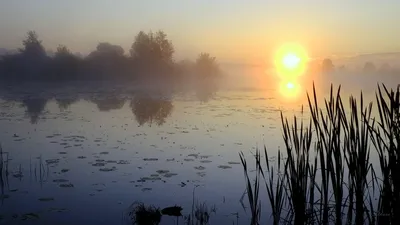 Стремление красоты: Красивое утро