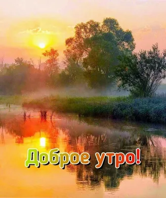 Утренняя природа - красивые фото для скачивания