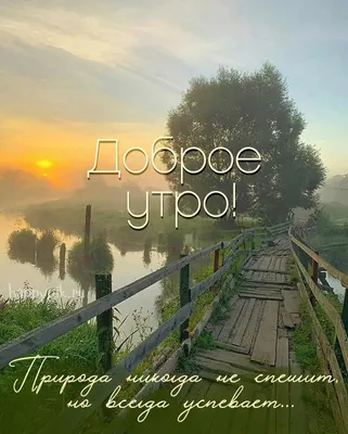 Фото утренней природы в формате WebP