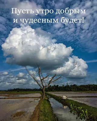 Картинки утреннего пейзажа 2024 года