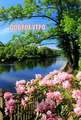 Фотографии утренней природы в хорошем качестве