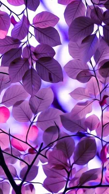 Красивые фиолетовые картинки  фото