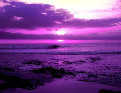 Красивые фиолетовые изображения для скачивания
