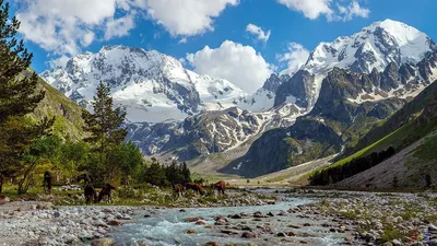 Фотографии с живописными видами гор Кавказа