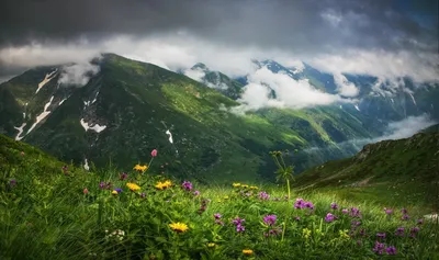 Фото с живописными панорамами Кавказских гор