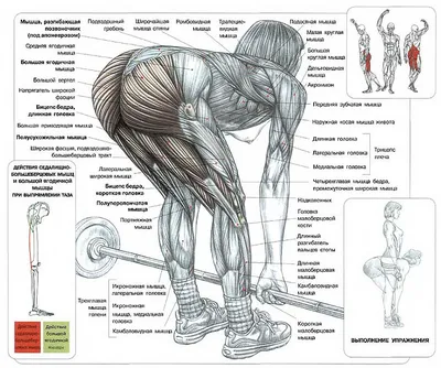 Икры ног: захватывающие изображения в PNG формате