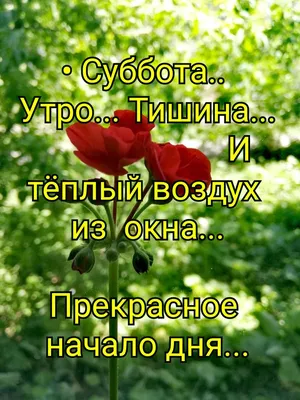 Картинки, чтобы встретить утро с радостью в субботу