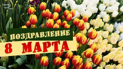 Новые фотографии к 8 му марта: скачать в HD качестве