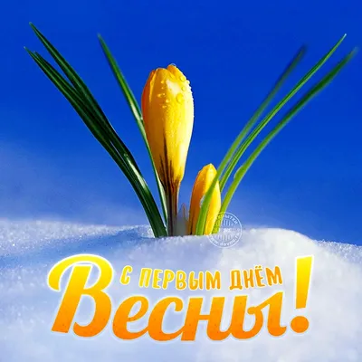 Весенние картинки - скачать бесплатно в формате JPG, PNG, WebP