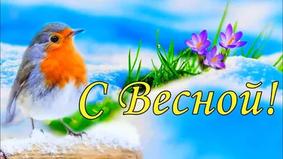 Красивые фото весеннего дня: скачать в форматах JPG, PNG, WebP