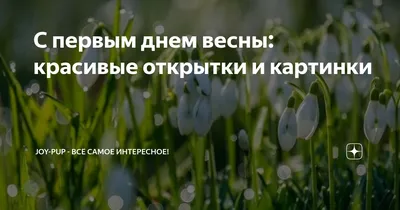 Весенние пейзажи, которые заставляют восхищаться