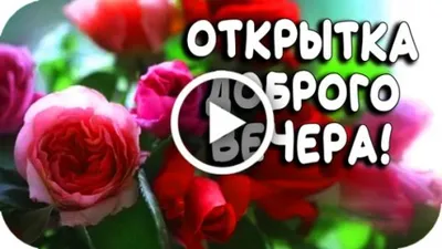 Фотографии, чтобы подарить вечеру особую атмосферу