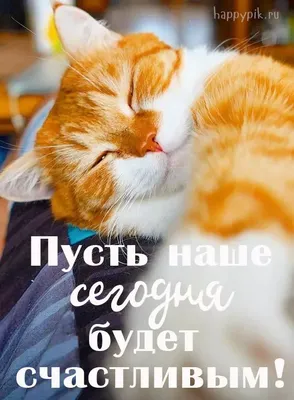 Необычные и забавные фотографии животных, которые стоит увидеть!