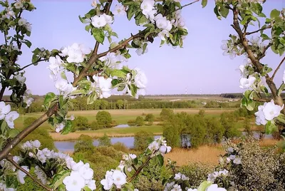 Весенние фотографии с яркими красками