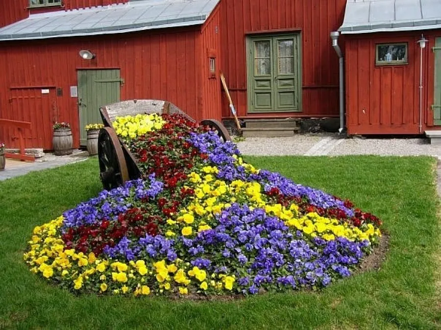 Красивые клумбы из многолетних цветов: 84 фото, готовые схемы | irhidey.ru
