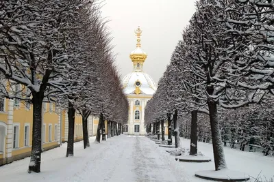 Зимняя Атмосфера Санкт-Петербурга: Фотографии в Высоком Качестве