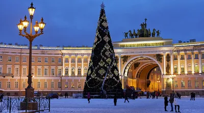 Зимние Оазисы Красоты в Санкт-Петербурге: Картинки