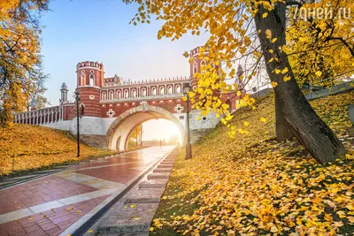 Фото Москвы: уловка момента в каждом кадре