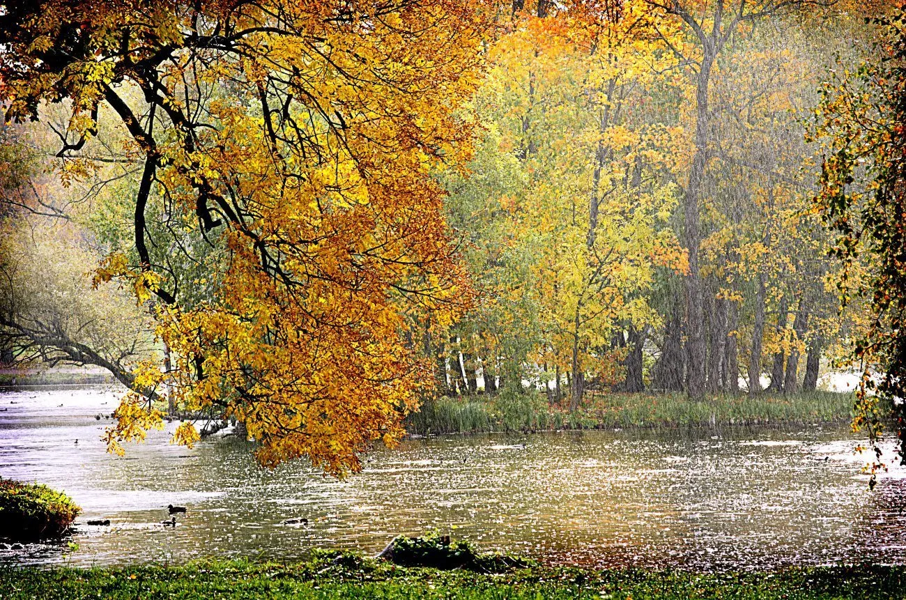Фото по запросу Дождливая осень