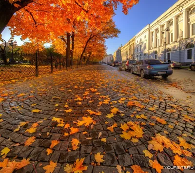 Осенние фотографии с живыми образами: волшебные снимки