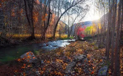 Фотографии больших размеров осенних пейзажей