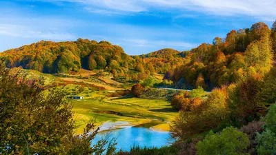 Фото красивого осеннего леса в HD качестве