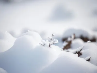 Зимний волшебный снег: фотографии в Full HD