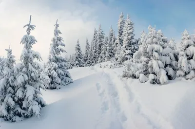 20 Уникальных фотографий зимнего пейзажа