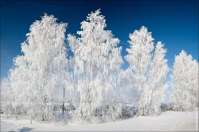 Зимний фотопоток: Скачивайте ваши фотографии в PNG