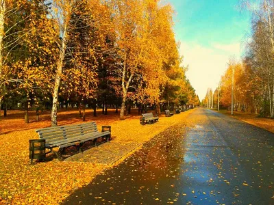 Фотография красивых осенних пейзажей, можно скачать в любом формате