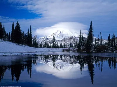 Замороженные образы красоты: фото, изображения