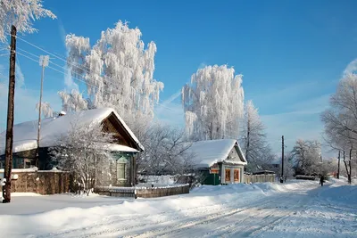 Зимний взгляд на мир: фото, изображения