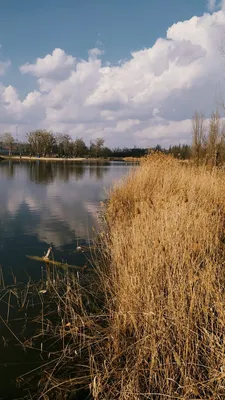 Природные миры: красота рек в объективе фотографа