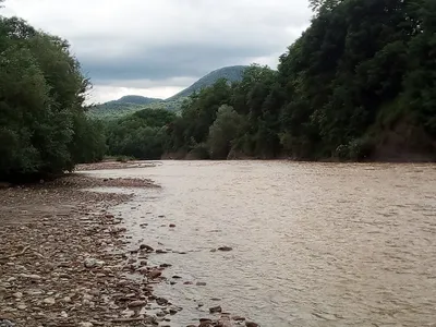 Красивые фотки рек для фонов